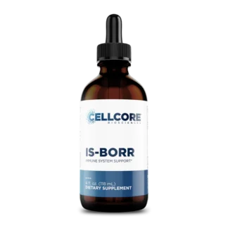 IS-BORR
