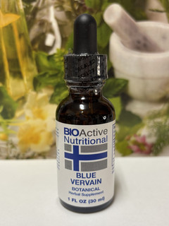 BLUE VERVAIN