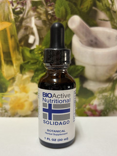 SOLIDAGO